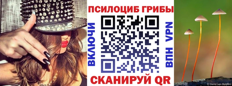 Псилоцибиновые грибы Psilocybine cubensis  купить наркоту  Бирск 